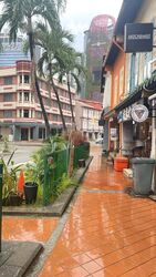 Tanjong Pagar Conservation Area (D2), Shop House #563737861